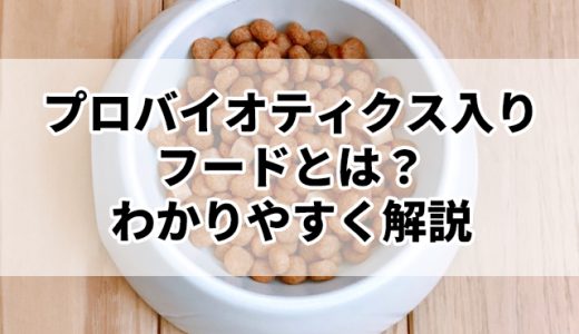 プロバイオティクスで愛犬の健康をサポート！腸内環境を整える善玉菌の力